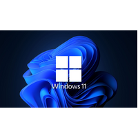 Microsoft Windows 11 Home DVD - 64Bit